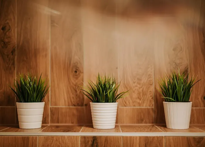 Casa Dea * Велико-Тырново